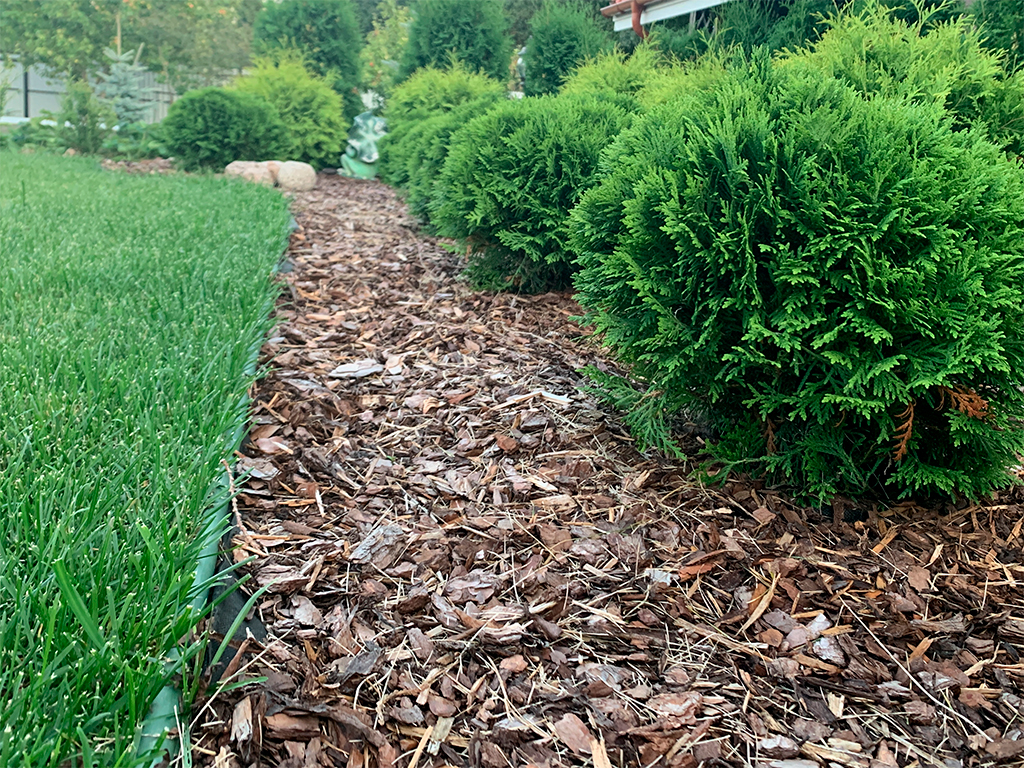 Bordură decorativă pentru grădină COUNTRY STANDARD, negru (6000x12x100)
