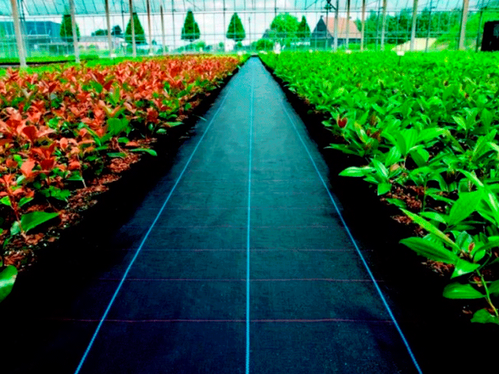 Агроткань ПП, черная 100г/м2 (1.7мX50м)