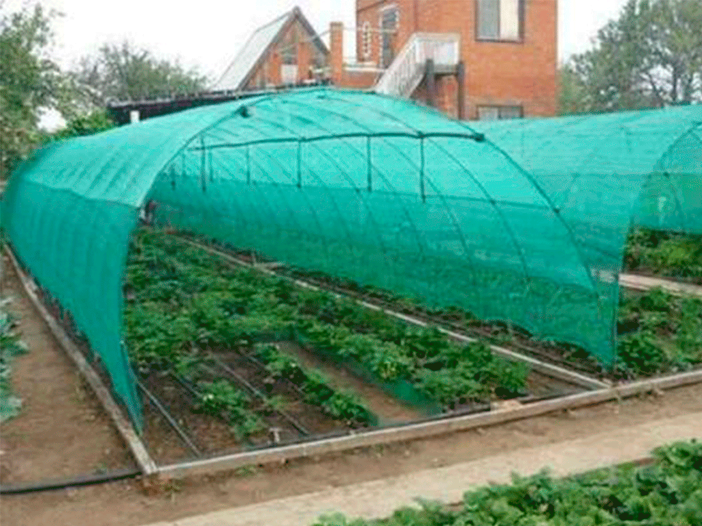 Сетка затеняющая зеленая, Elite 85гр/м2 (1м x 100м), затенение 90%