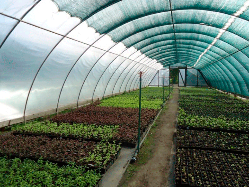 Сетка затеняющая зеленая, Elite 85гр/м2 (1м x 100м), затенение 90%