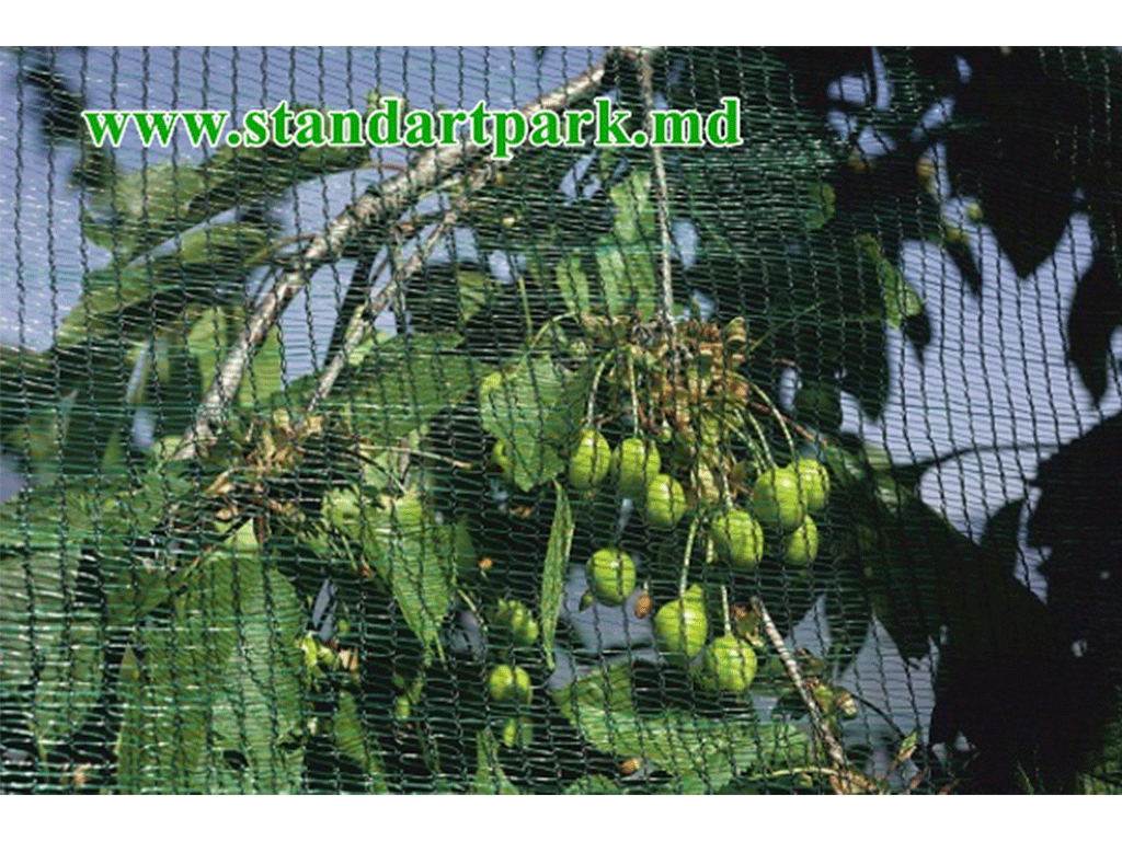 Сетка затеняющая зеленая, Elite 85гр/м2 (6м x 50м), затенение 90%