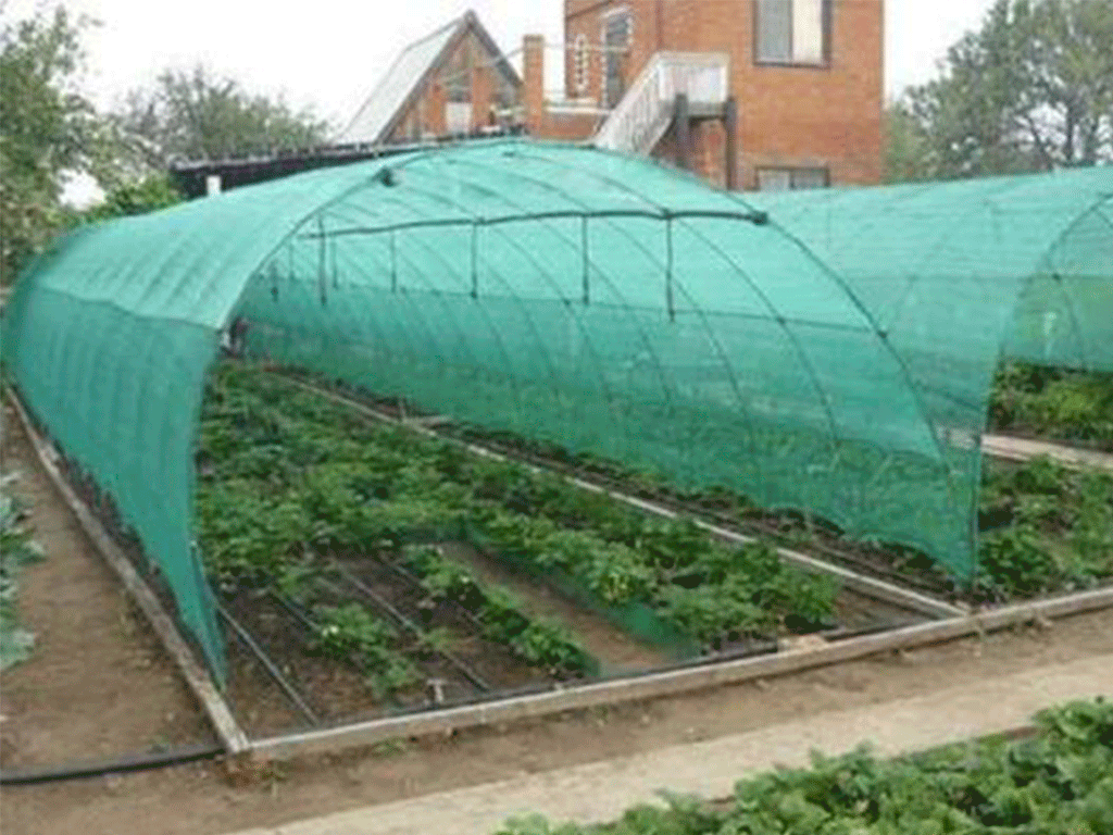 Сетка затеняющая зеленая, Light 38гр/м2 (3м x 50м), затенение 45%