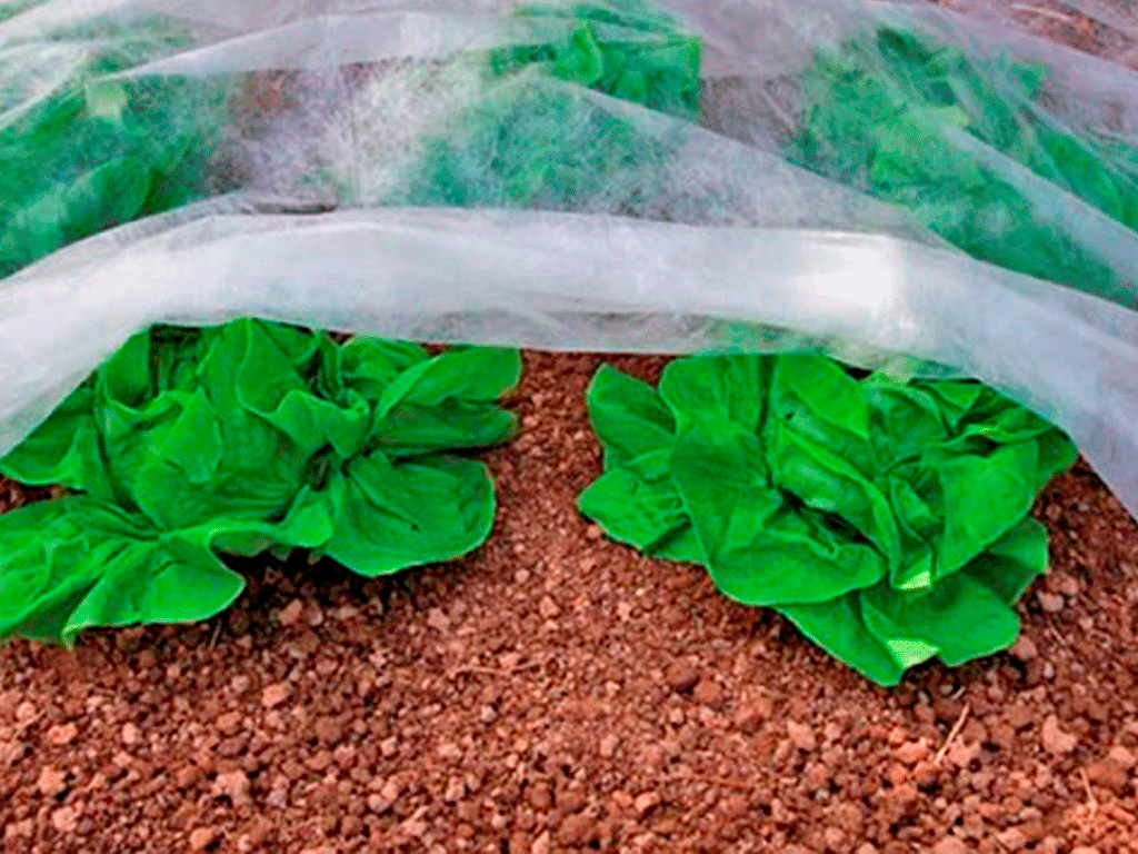 Agrotextil, spanbond alb (folie microporoasă antiângheț), 23 gr/m2 (3.2m x 50m)