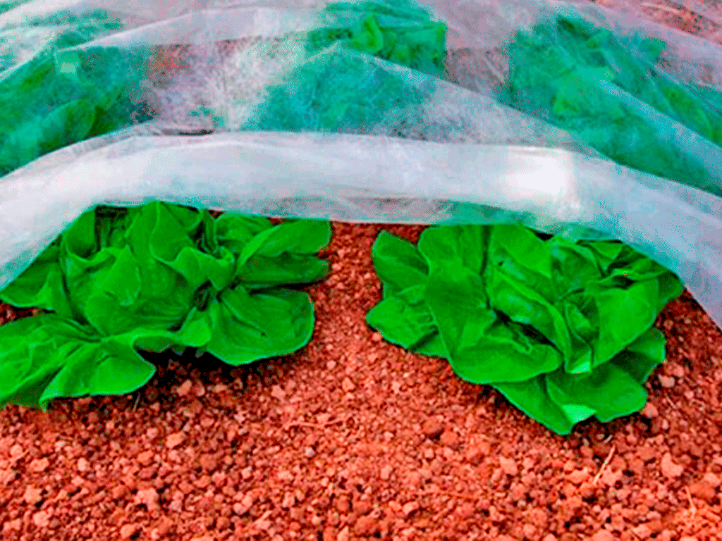 Agrotextil SPANBOND alb (folie microporoasa antiinghet) 23g/m2 (rola 6.4mx100m)