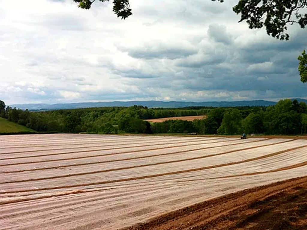 Agrotextil SPANBOND alb (folie microporoasa antiinghet) 23g/m2 (rola 6.4mx100m)