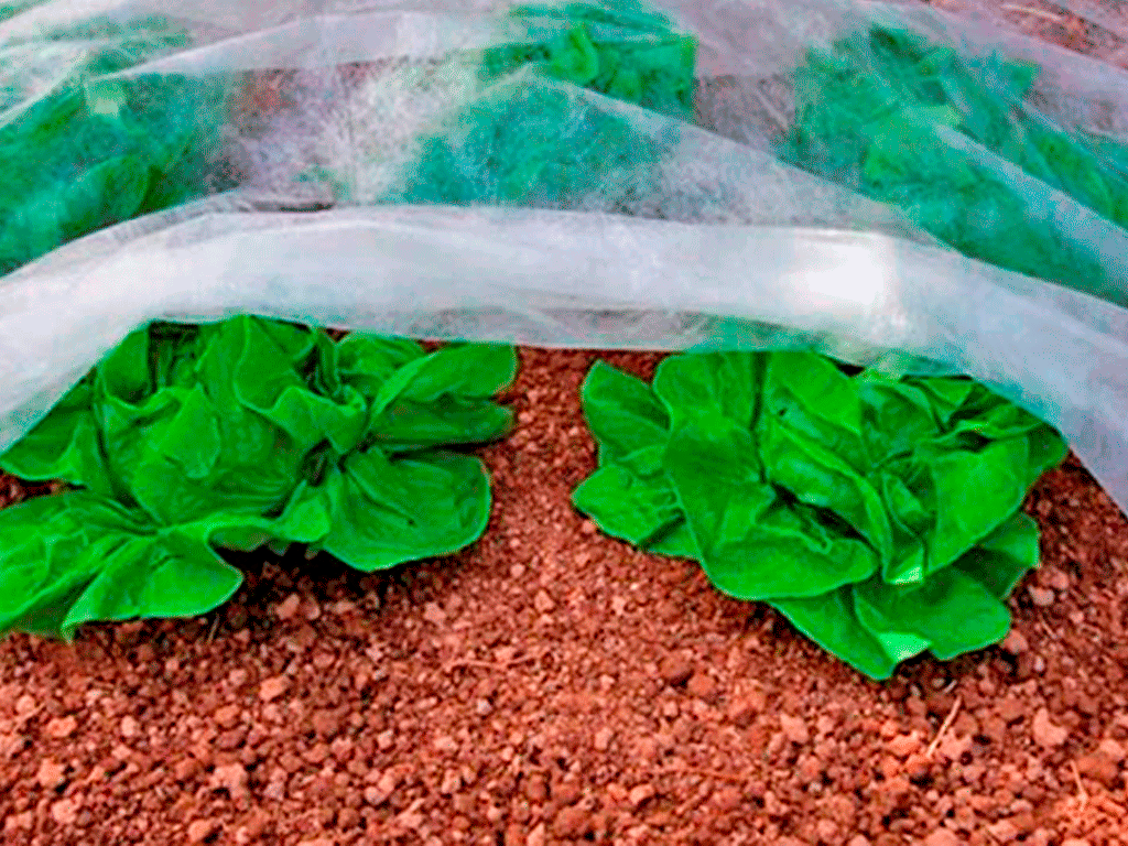 Agrotextil, spanbond alb (folie microporoasă antiângheț), 23 gr/m2 (6.4m x 50m)