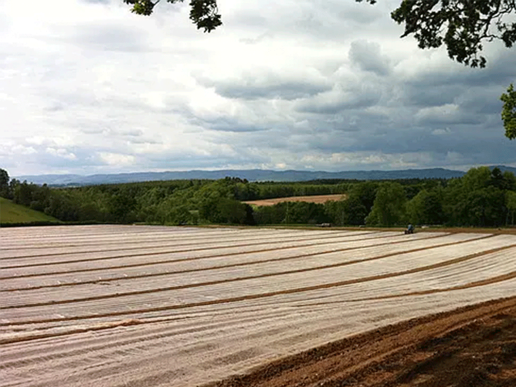 Agrotextil, spanbond alb (folie microporoasă antiângheț), 23 gr/m2 (6.4m x 50m)