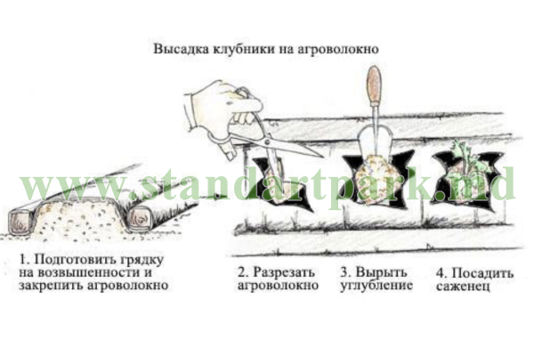 Агротекстиль, спанбонд черный (мульчирующее агроволокно), 50 гр/м2 (1.6м x 50м)
