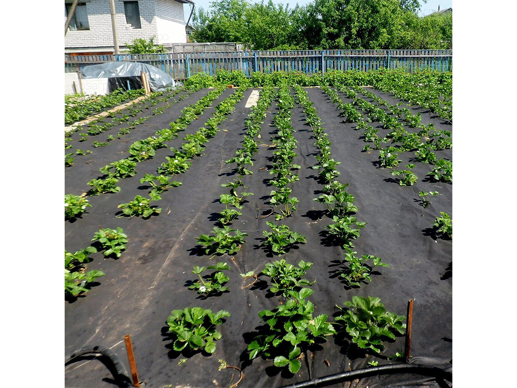 Спанбонд (био-мульча) коричневый пакет 3X10м, 70г/м2 S=30 м2