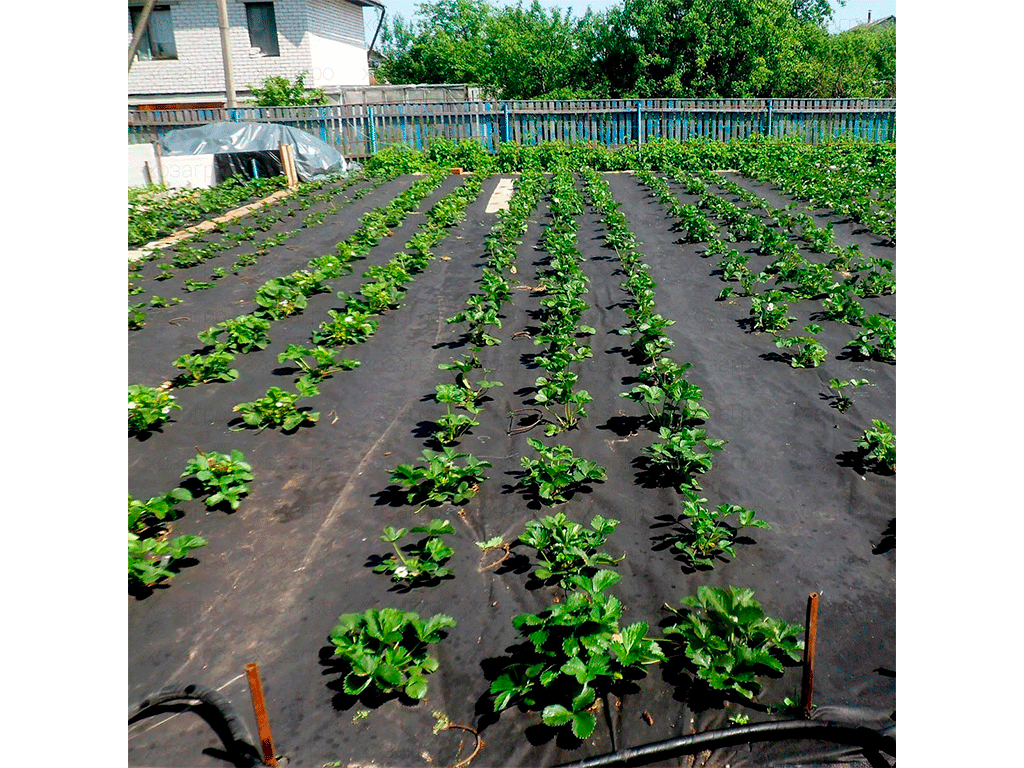 Спанбонд (био-мульча) коричневый пакет 3X5м, 70г/м2 S=15м2